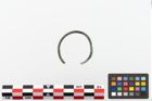 Foto von Bronzering (NHMW-PRAE-023872)